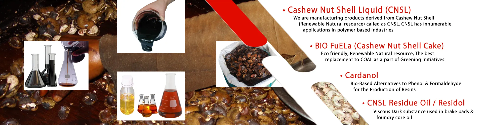 BiO FuELa (Cashew  Nut Shell Cake), Cashew Nut Shell Liquid (CNSL), Cardanol & CNSL Residue Oil / Residol